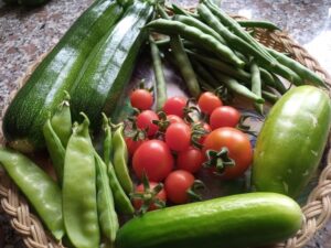 October 24 winner Kath Gifkins - Harvest